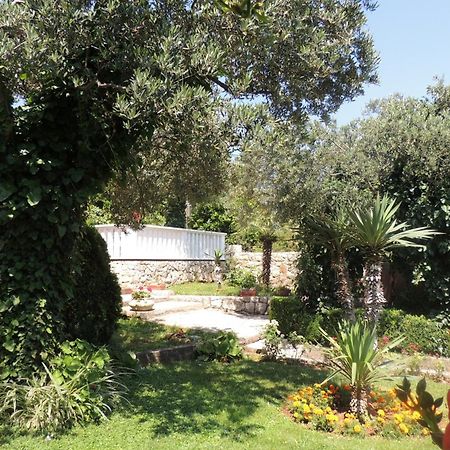 Apartments Travarevic Ντουμπρόβνικ Εξωτερικό φωτογραφία