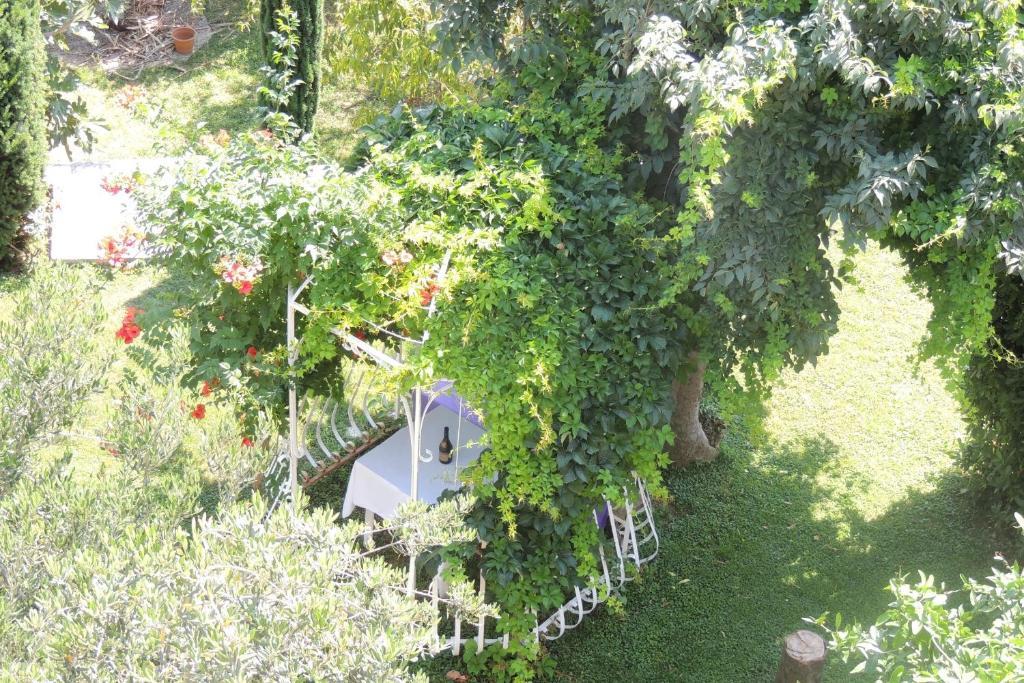 Apartments Travarevic Ντουμπρόβνικ Εξωτερικό φωτογραφία